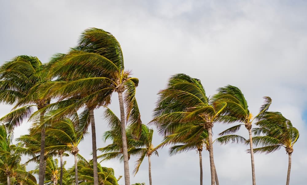 Commercial Real Estate Investors Face Indefensible Stable-Income Assumption After Disasters