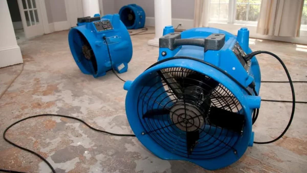 Houston Water Damage Reviews Highlight 24-Hour Response and IICRC-Certified Technicians