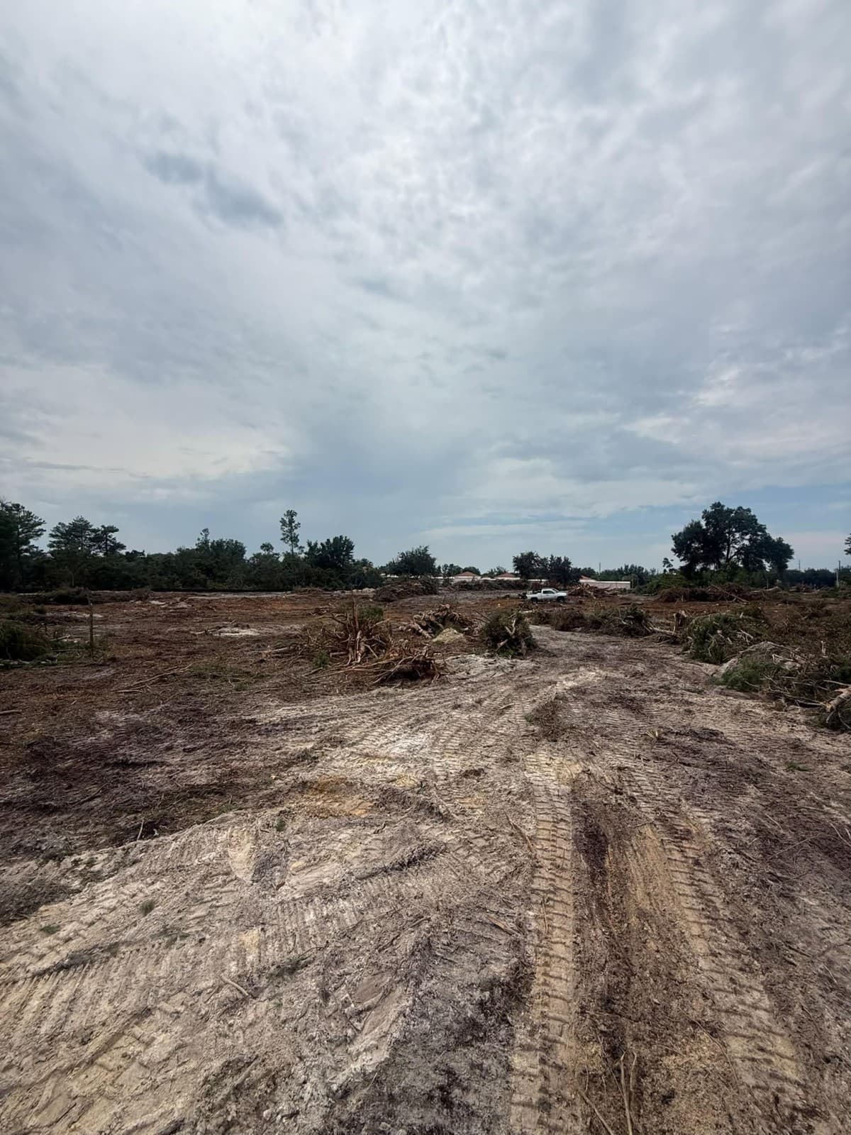VB Tree Removal Unveils Guide to Land Clearing Costs and Forestry Mulching