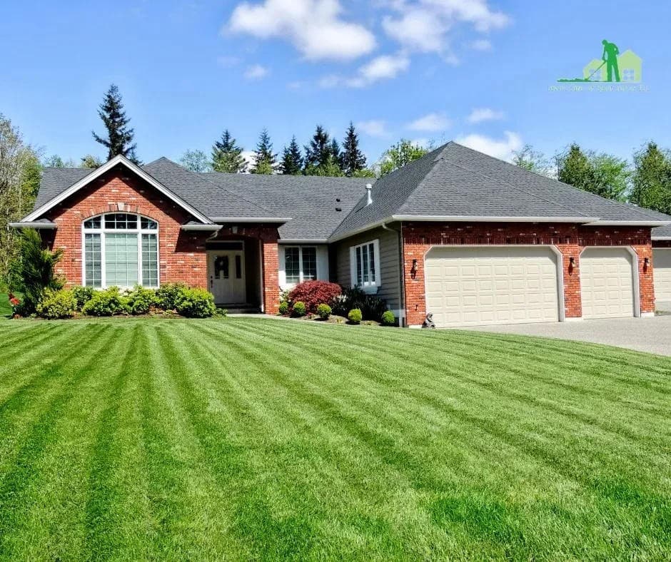 Lawn Care of Saint Johns Introduces Pet-Safe Lawn Treatment Options for Residential and Commercial Clients