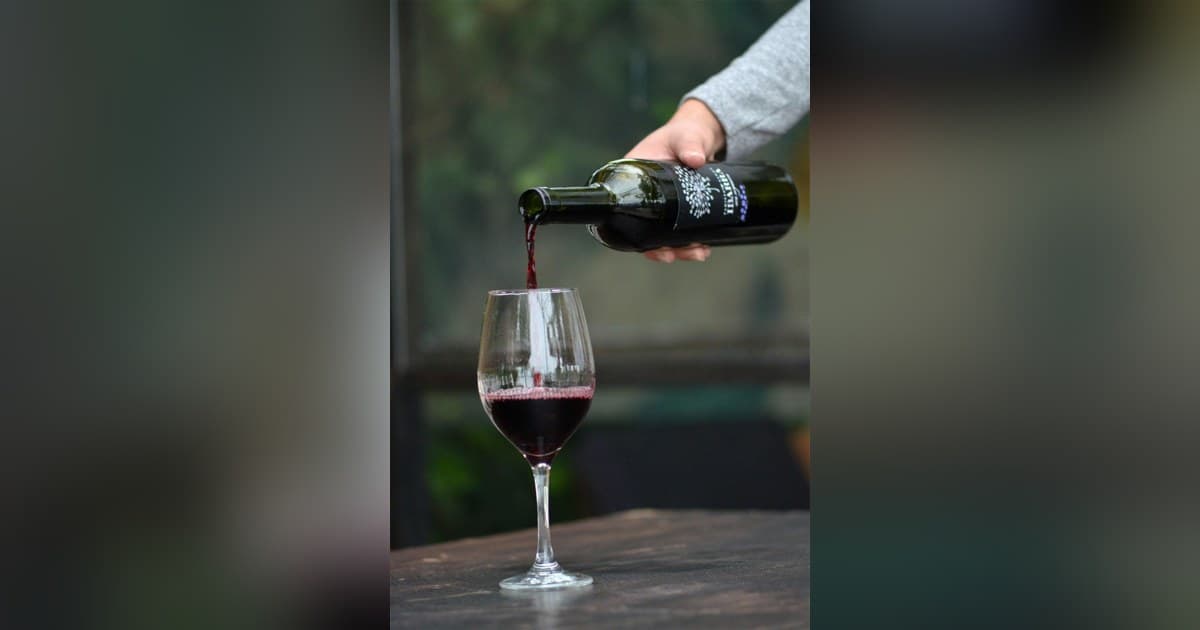 Updated Wine Calorie Guide Highlights Serving Size as Key Factor in Holiday Intake