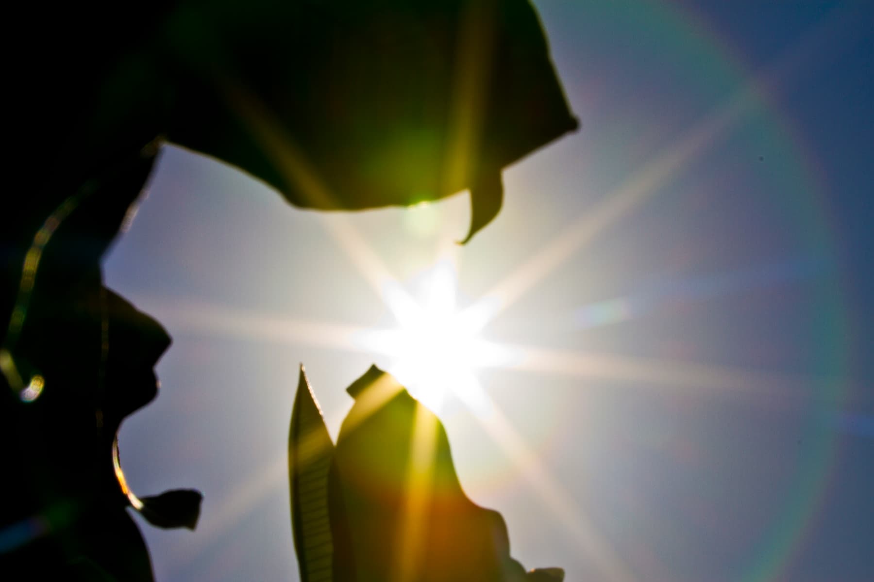 Extreme Heat Linked to Increased Risk of Atrial Fibrillation in ICD Patients