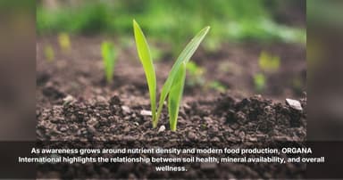 ORGANA International Explores the Connection Between Soil Health and Human Nutrition