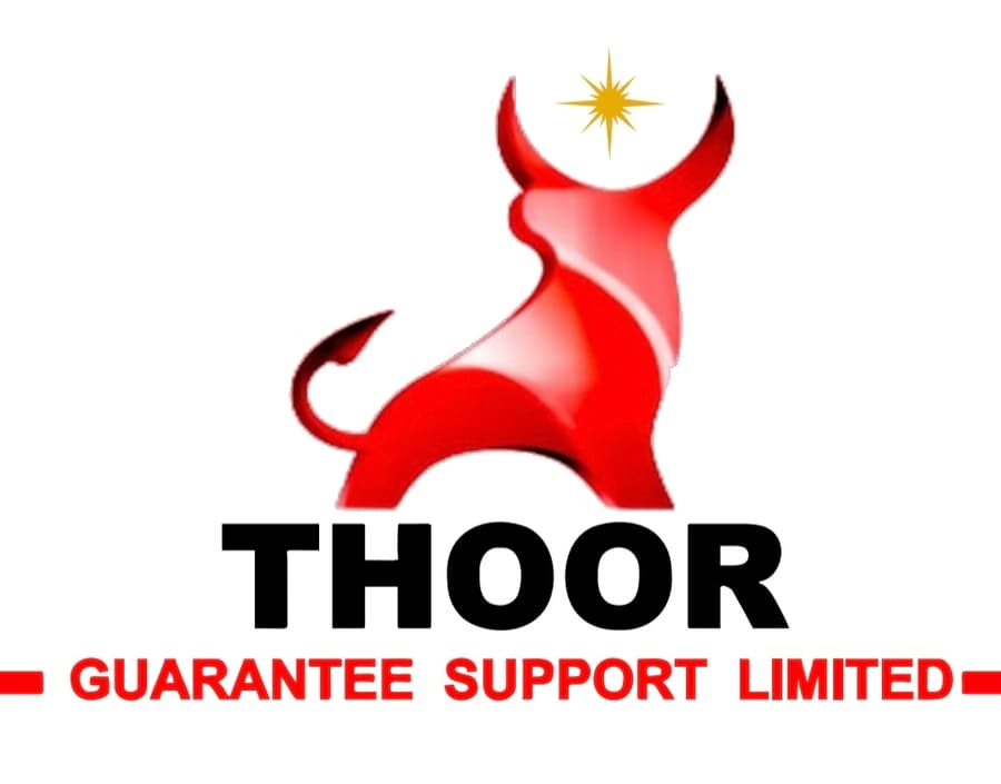 Thoor.org Expands Global Protection Services with BENZU SMART Launch