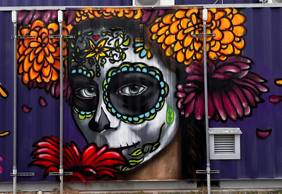 Fort Worth Design District Unveils New Murals by Local Artist Christopher Sandoval